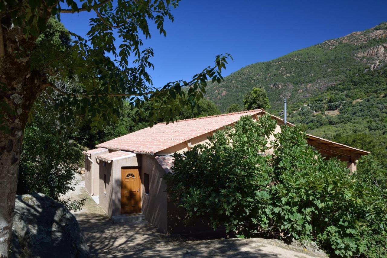 Casa Del Torrente Villa Porto  Rom bilde